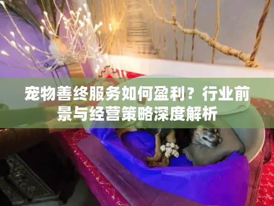 宠物善终服务如何盈利?行业前景与经营策略深度解析 宠物善终服务如何盈利?行业前景与经营策略深度解析