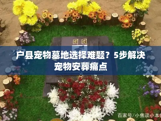 户县宠物墓地选择难题？5步解决宠物安葬痛点