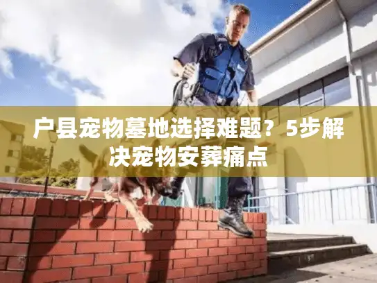 户县宠物墓地选择难题？5步解决宠物安葬痛点