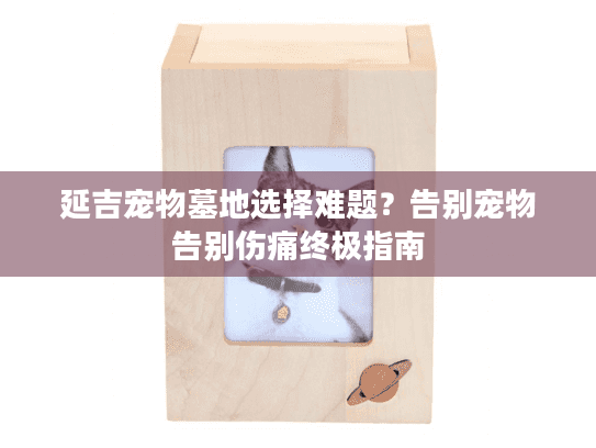 延吉宠物墓地选择难题？告别宠物告别伤痛终极指南