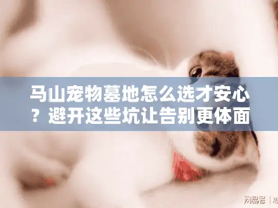 马山宠物墓地怎么选才安心？避开这些坑让告别更体面