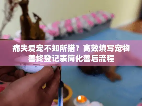 痛失爱宠不知所措?高效填写宠物善终登记表简化善后流程 痛失爱宠不知所措?高效填写宠物善终登记表简化善后流程