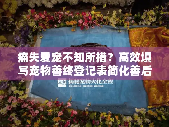 痛失爱宠不知所措?高效填写宠物善终登记表简化善后流程 痛失爱宠不知所措?高效填写宠物善终登记表简化善后流程