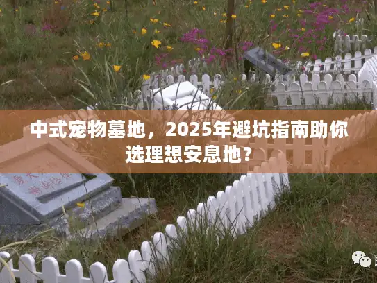 中式宠物墓地，2025年避坑指南助你选理想安息地？