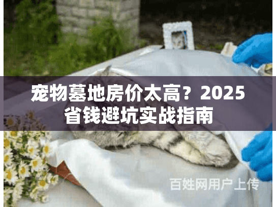 宠物墓地房价太高?2025省钱避坑实战指南 宠物墓地房价太高?2025省钱避坑实战指南