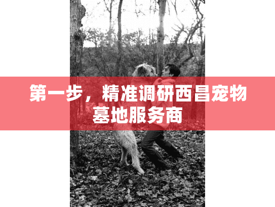 第一步，精准调研西昌宠物墓地服务商