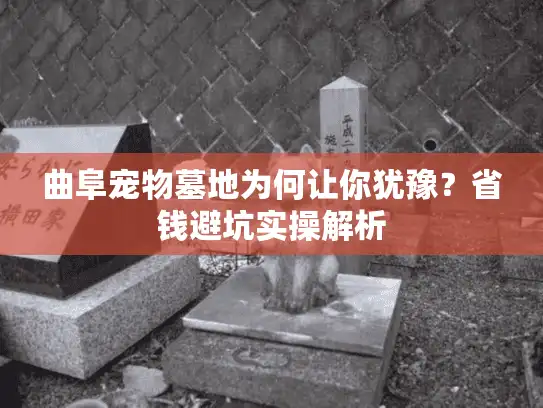 曲阜宠物墓地为何让你犹豫？省钱避坑实操解析