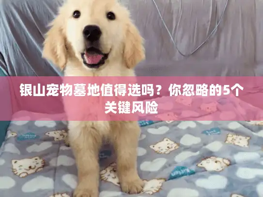 银山宠物墓地值得选吗?你忽略的5个关键风险 银山宠物墓地值得选吗?你忽略的5个关键风险