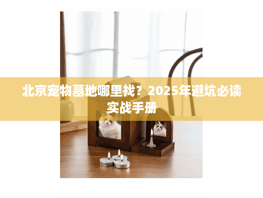 北京宠物墓地哪里找？2025年避坑必读实战手册