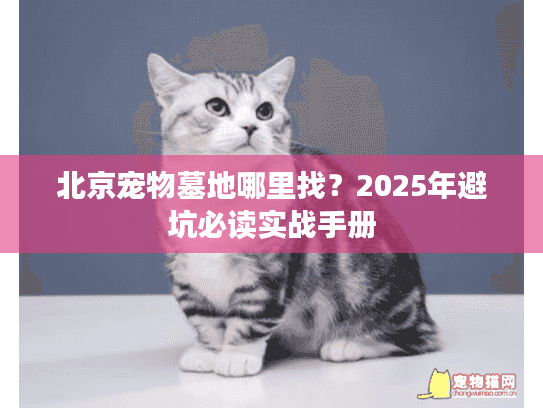 北京宠物墓地哪里找？2025年避坑必读实战手册