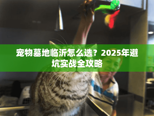 宠物墓地临沂怎么选？2025年避坑实战全攻略