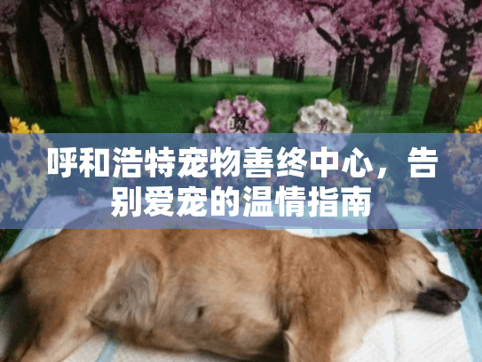 呼和浩特宠物善终中心,告别爱宠的温情指南 呼和浩特宠物善终中心,告别爱宠的温情指南