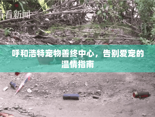 呼和浩特宠物善终中心,告别爱宠的温情指南 呼和浩特宠物善终中心,告别爱宠的温情指南