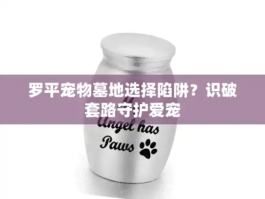 罗平宠物墓地选择陷阱?识破套路守护爱宠 罗平宠物墓地选择陷阱?识破套路守护爱宠