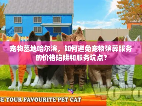 宠物墓地哈尔滨,如何避免宠物殡葬服务的价格陷阱和服务坑点? 宠物墓地哈尔滨,如何避免宠物殡葬服务的价格陷阱和服务坑点?