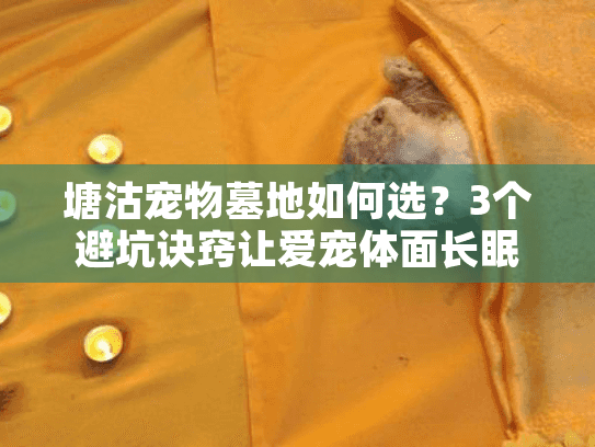 塘沽宠物墓地如何选？3个避坑诀窍让爱宠体面长眠