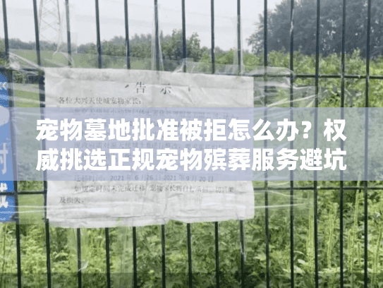 宠物墓地批准被拒怎么办？权威挑选正规宠物殡葬服务避坑指南