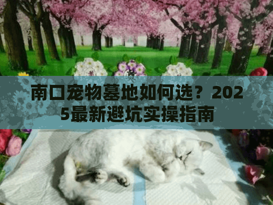 南口宠物墓地如何选？2025最新避坑实操指南