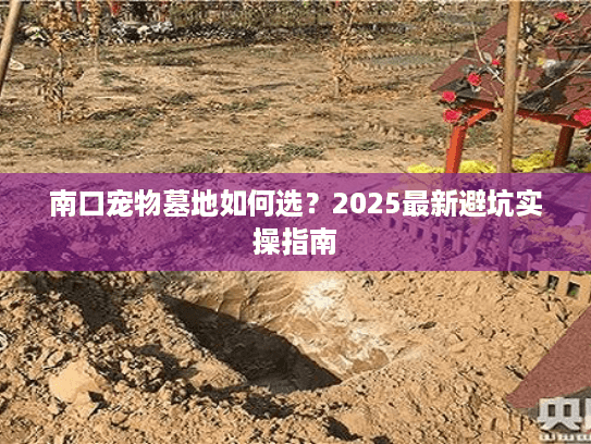 南口宠物墓地如何选？2025最新避坑实操指南