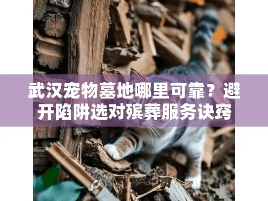 武汉宠物墓地哪里可靠?避开陷阱选对殡葬服务诀窍 武汉宠物墓地哪里可靠?避开陷阱选对殡葬服务诀窍