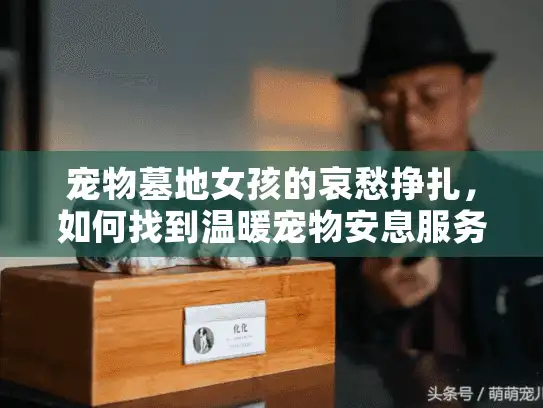 宠物墓地女孩的哀愁挣扎，如何找到温暖宠物安息服务？