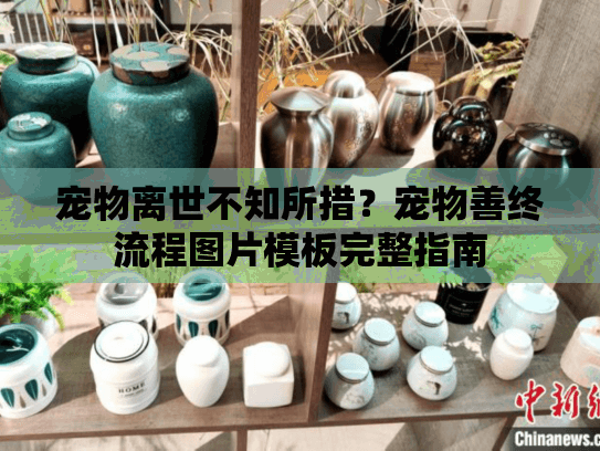 宠物离世不知所措？宠物善终流程图片模板完整指南