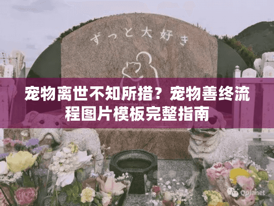 宠物离世不知所措？宠物善终流程图片模板完整指南