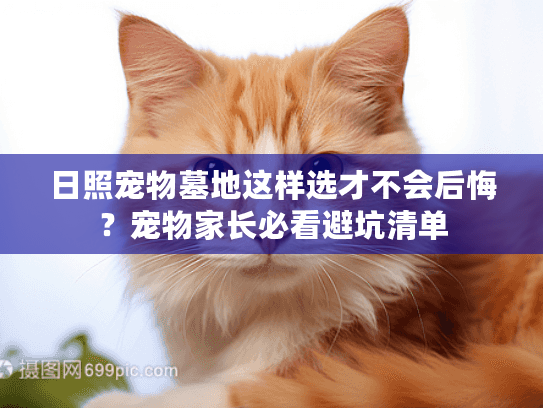 日照宠物墓地这样选才不会后悔？宠物家长必看避坑清单