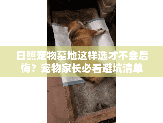 日照宠物墓地这样选才不会后悔？宠物家长必看避坑清单