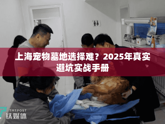 上海宠物墓地选择难？2025年真实避坑实战手册