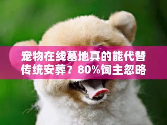 宠物在线墓地真的能代替传统安葬？80%饲主忽略的虚拟纪念陷阱