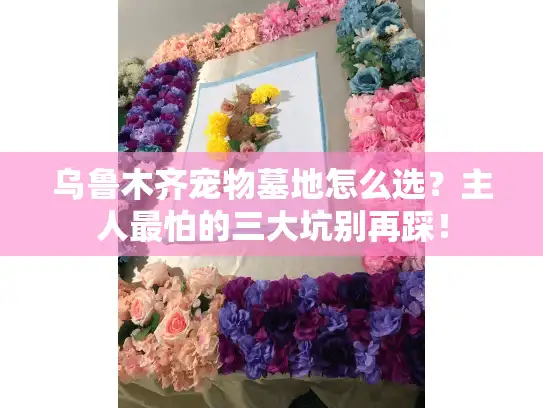 乌鲁木齐宠物墓地怎么选？主人最怕的三大坑别再踩！