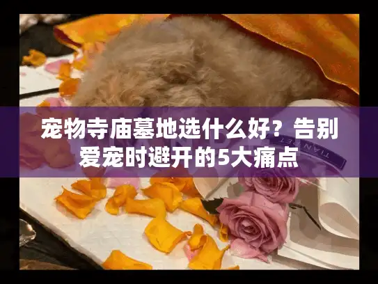 宠物寺庙墓地选什么好？告别爱宠时避开的5大痛点