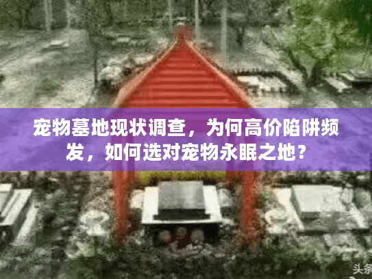 宠物墓地现状调查，为何高价陷阱频发，如何选对宠物永眠之地？