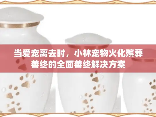 当爱宠离去时，小林宠物火化殡葬善终的全面善终解决方案