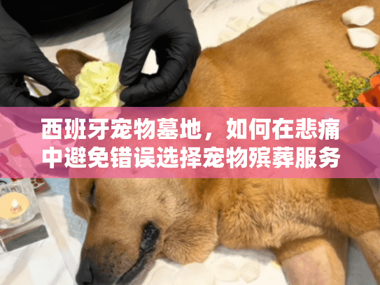 西班牙宠物墓地，如何在悲痛中避免错误选择宠物殡葬服务？