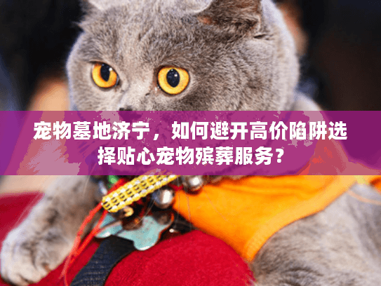 宠物墓地济宁,如何避开高价陷阱选择贴心宠物殡葬服务? 宠物墓地济宁,如何避开高价陷阱选择贴心宠物殡葬服务?