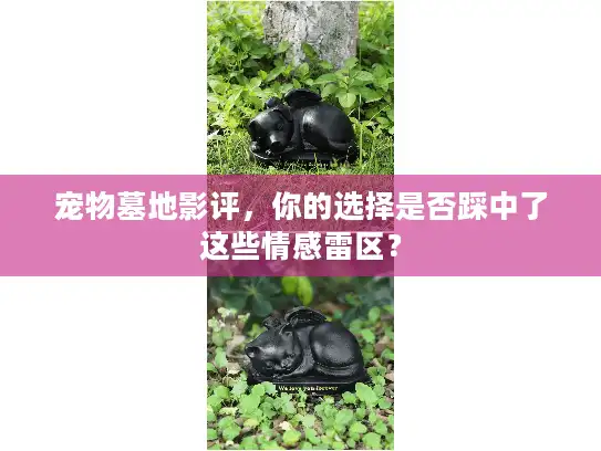 宠物墓地影评，你的选择是否踩中了这些情感雷区？