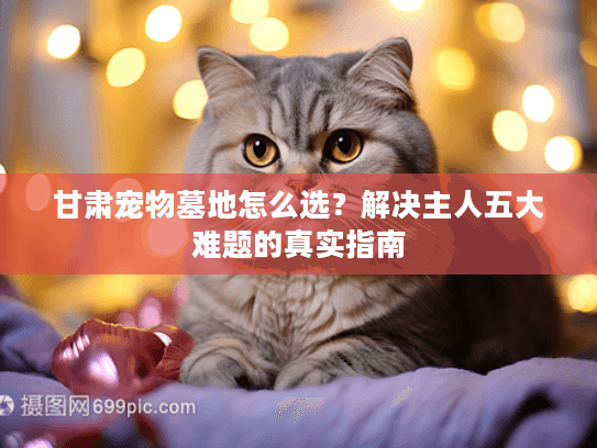 甘肃宠物墓地怎么选？解决主人五大难题的真实指南