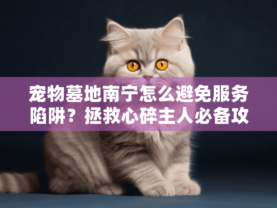 宠物墓地南宁怎么避免服务陷阱？拯救心碎主人必备攻略