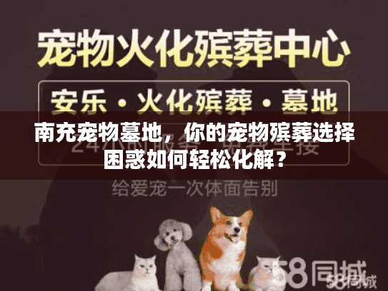 南充宠物墓地，你的宠物殡葬选择困惑如何轻松化解？