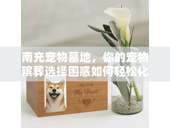 南充宠物墓地，你的宠物殡葬选择困惑如何轻松化解？