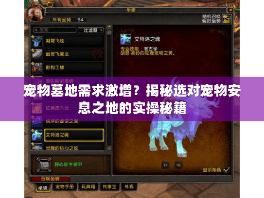 宠物墓地需求激增？揭秘选对宠物安息之地的实操秘籍