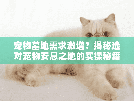 宠物墓地需求激增？揭秘选对宠物安息之地的实操秘籍