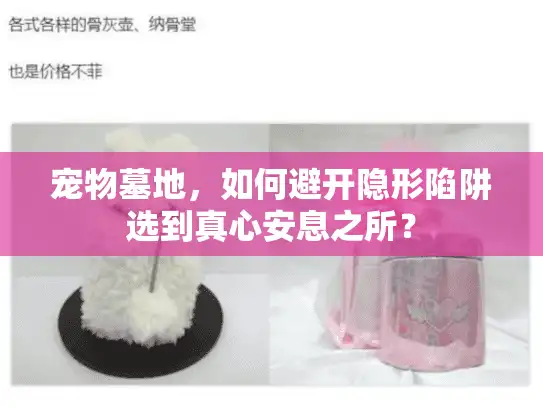 宠物墓地,如何避开隐形陷阱选到真心安息之所? 宠物墓地,如何避开隐形陷阱选到真心安息之所?