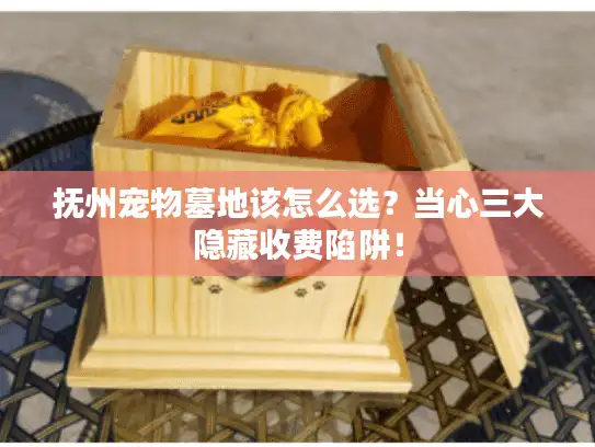 抚州宠物墓地该怎么选？当心三大隐藏收费陷阱！