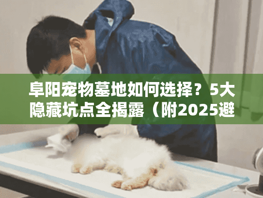 阜阳宠物墓地如何选择？5大隐藏坑点全揭露（附2025避坑清单）
