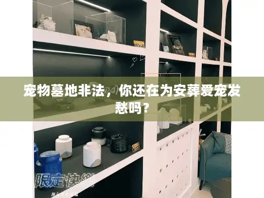 宠物墓地非法，你还在为安葬爱宠发愁吗？