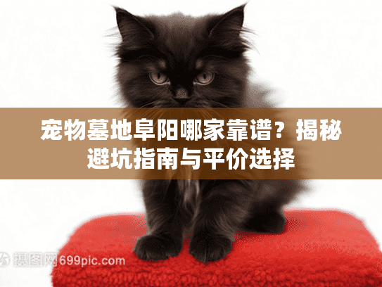 宠物墓地阜阳哪家靠谱？揭秘避坑指南与平价选择