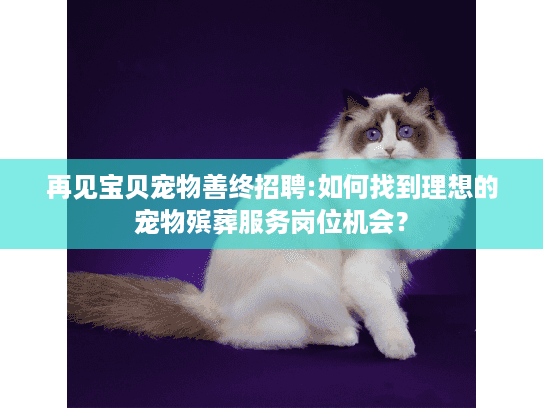 再见宝贝宠物善终招聘:如何找到理想的宠物殡葬服务岗位机会？